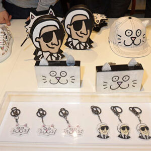 The Karl Lagerfeld Coupette collection.
