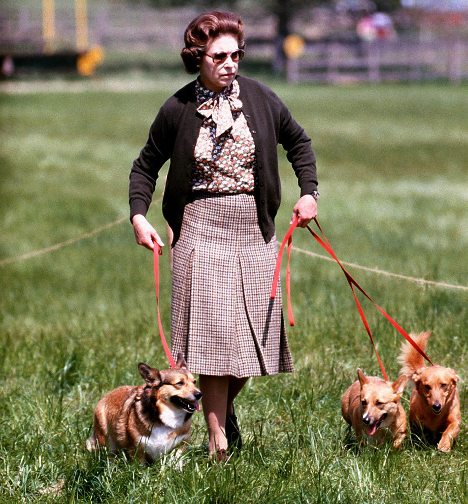 The Queen and her Corgis.