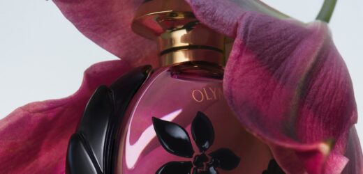 THE BEST 5 NEW FRAGRANCES OF 2023